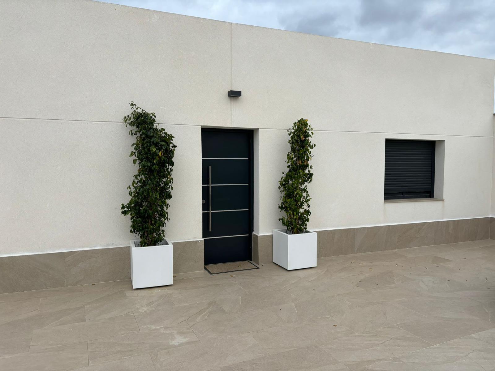 49782_WhatsApp Image 2024-11-12 at 19.49.35 (1).jpeg